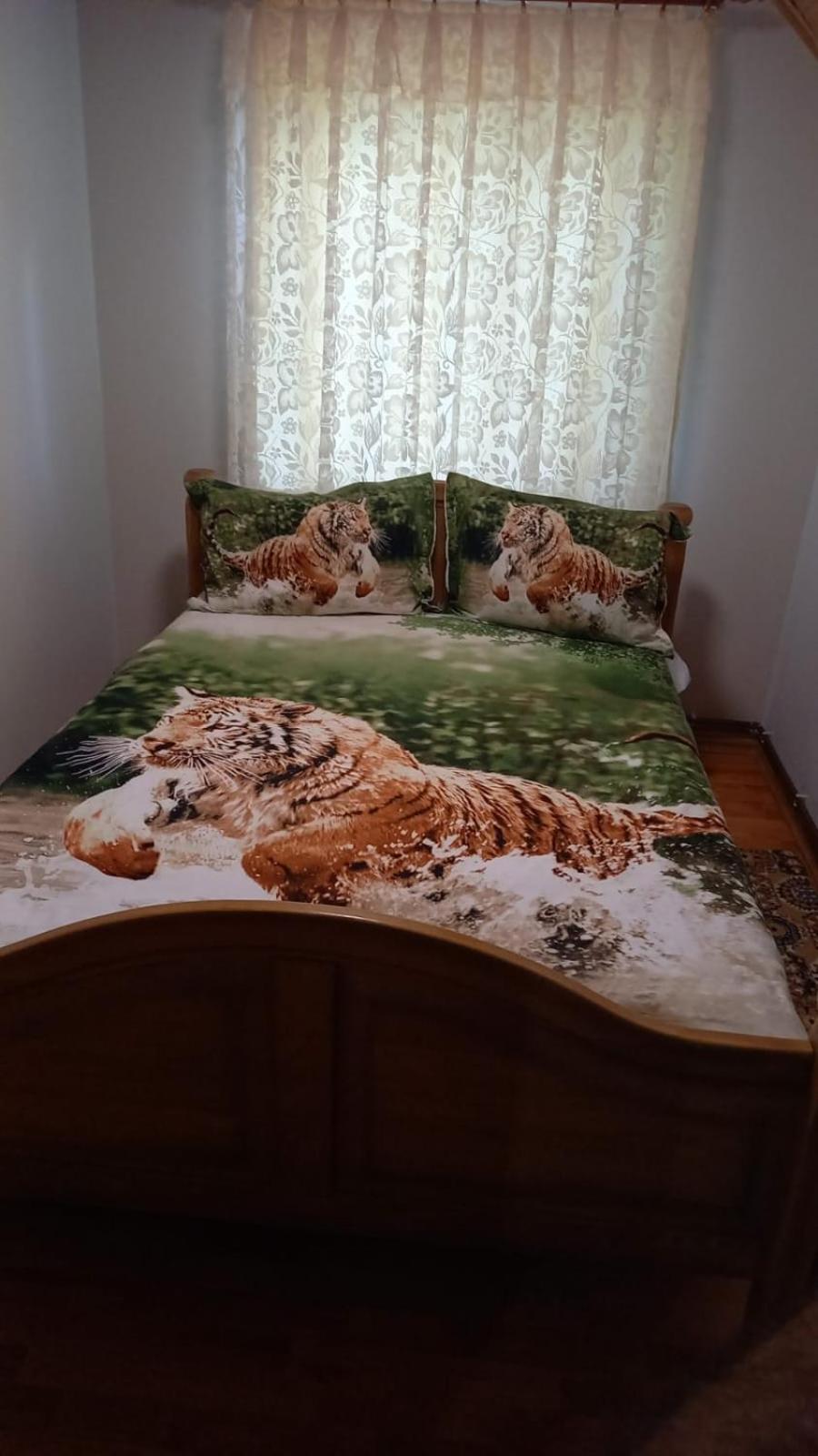 Casa De Vacanta Geoagiu Băi Εξωτερικό φωτογραφία